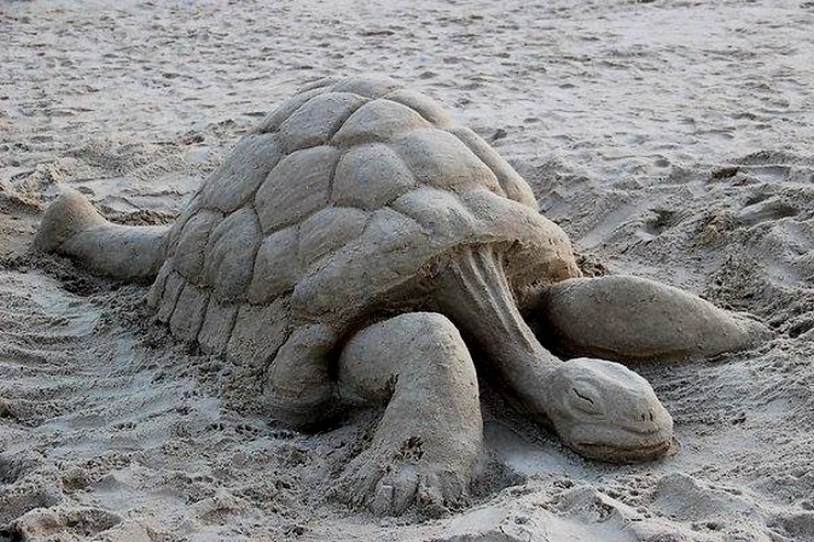 черепаха из песка